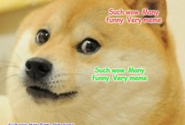 Meme Doge