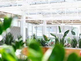 smart garden 2