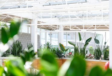 smart garden 2